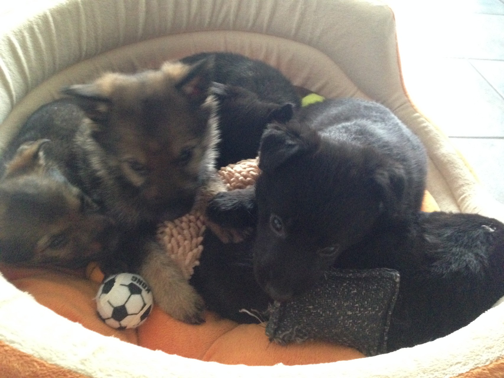 R-Wurf von der Gletscherhöhle; 12.02.2015