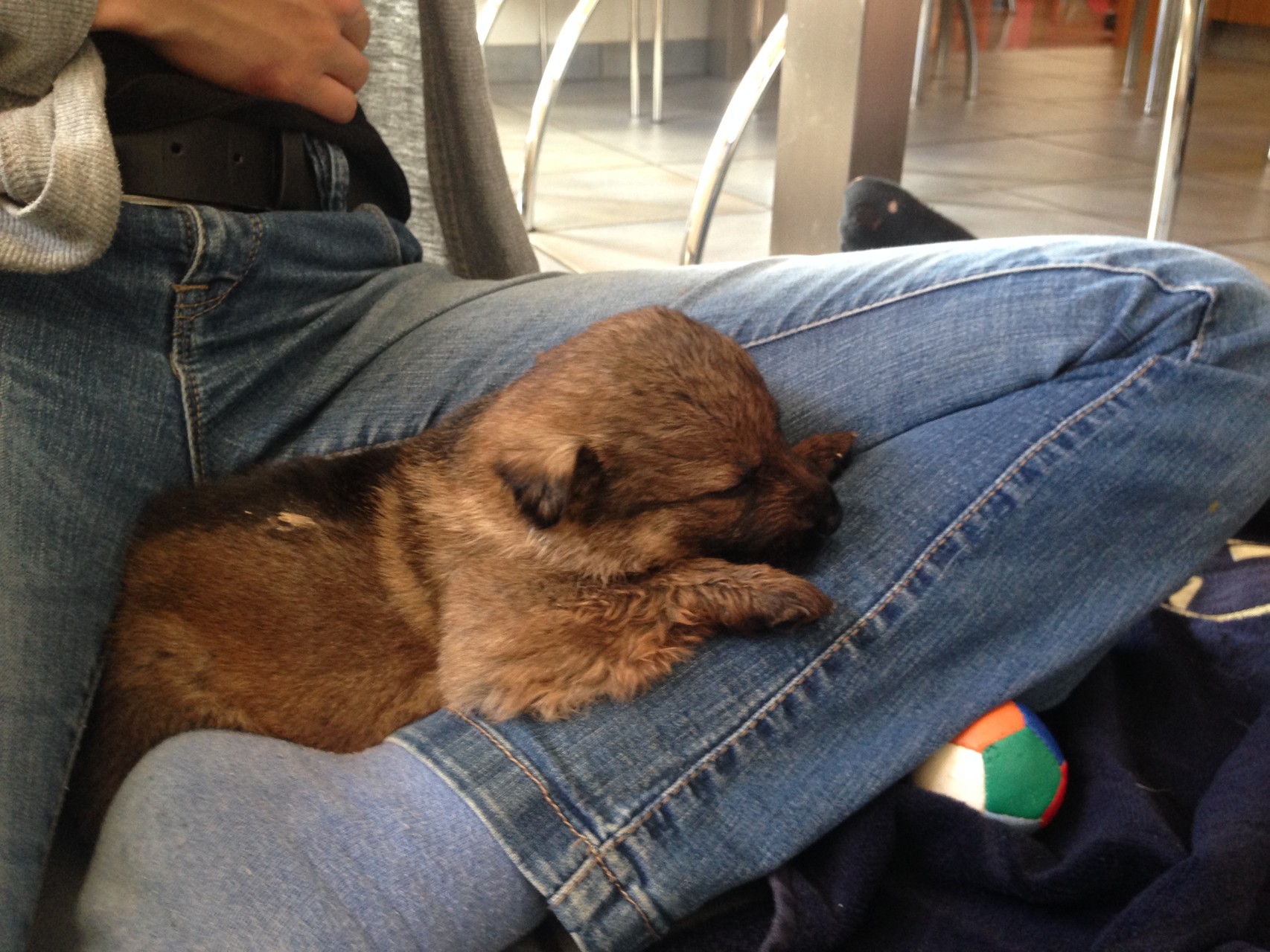 S-Wurf am 05.04.2015