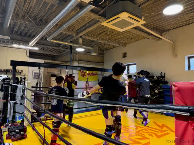 頑張ることで輝く