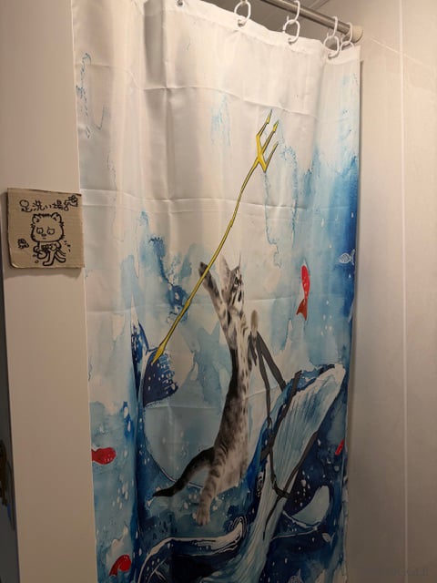 ジムの足洗い場のカーテンとカレンダー