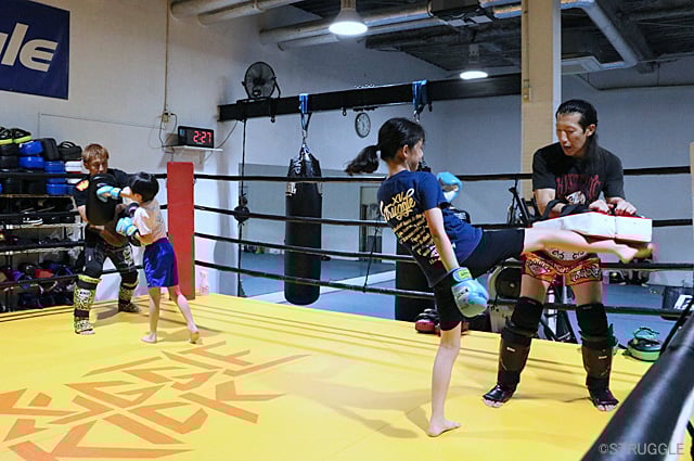 11月のスケジュール