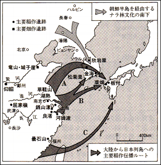 西日本jへの文化の移動ルート
