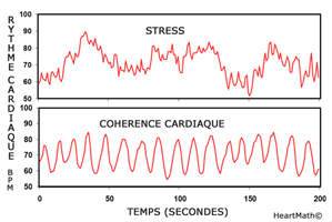 La cohérence cardiaque est une technique respiratoire simple qui permet de réduire le stress et l'anxiété.