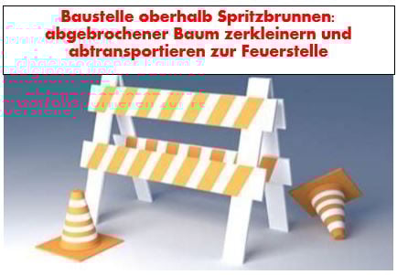 Hier wurde im Winter ein grosser Baum abgebrochen, welcher quer über Reservoir, Bach und Weg lag. Es galt, diesen zu zerkleinern, abtransportieren und in die Feuerstellen zu verteilen