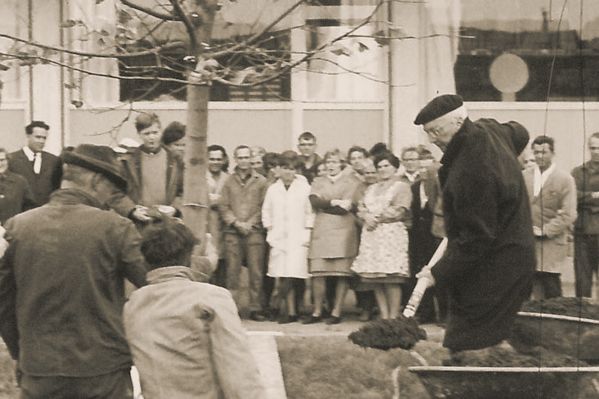 創業者は、樹齢90年の美しいライムの木を中庭に植えています。