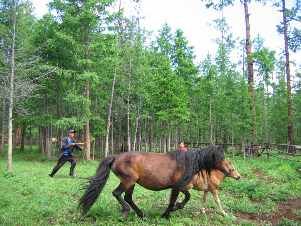 Pferdezüchter beim Chöwsgöl Nuur