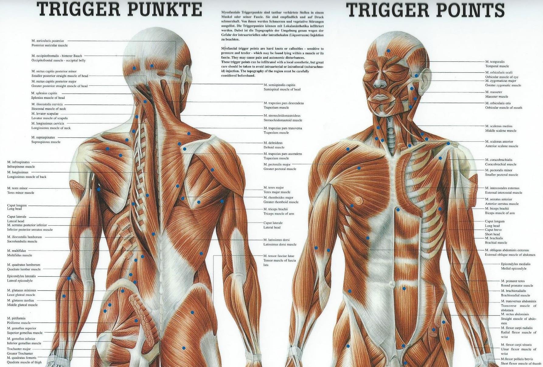 Triggerpunkte-Therapie