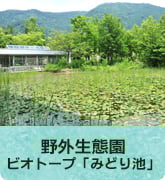 野外生態園～ビオトープ「みどり池」