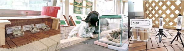 ▲むしむしハウスの様子