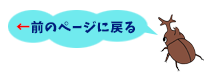 前のページに戻る