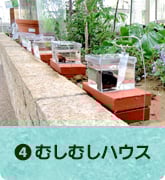 むしむしハウス