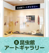 昆虫館アートギャラリー