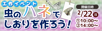 工作イベント「虫のハネでしおりを作ろう！」