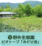 野外生態園～ビオトープ「みどり池」