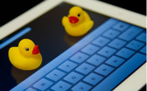 【画像】キーボードの上にひよこが２羽