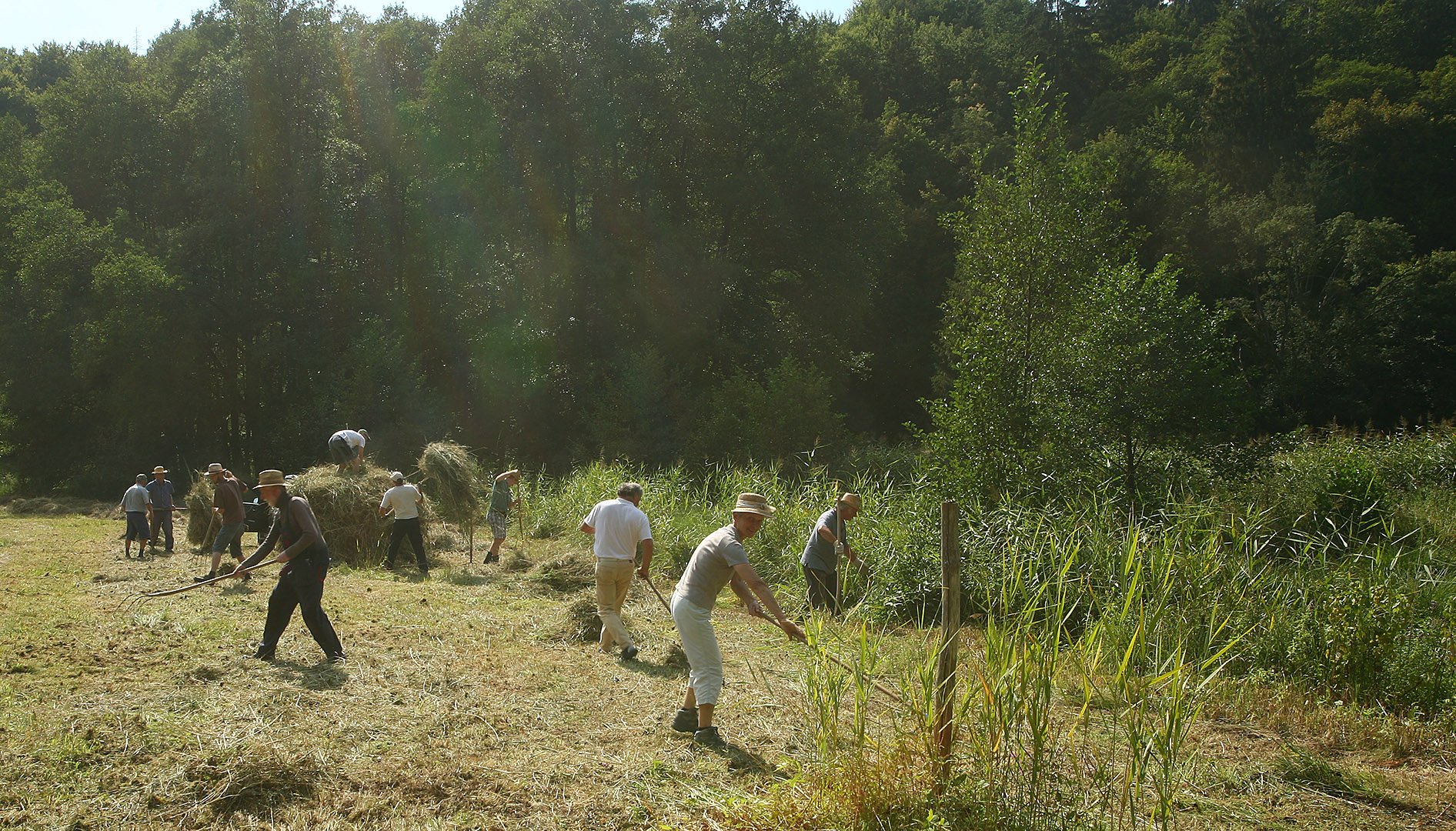 Wiesenpflege im Schambachtal. Foto: Helmut Presser
