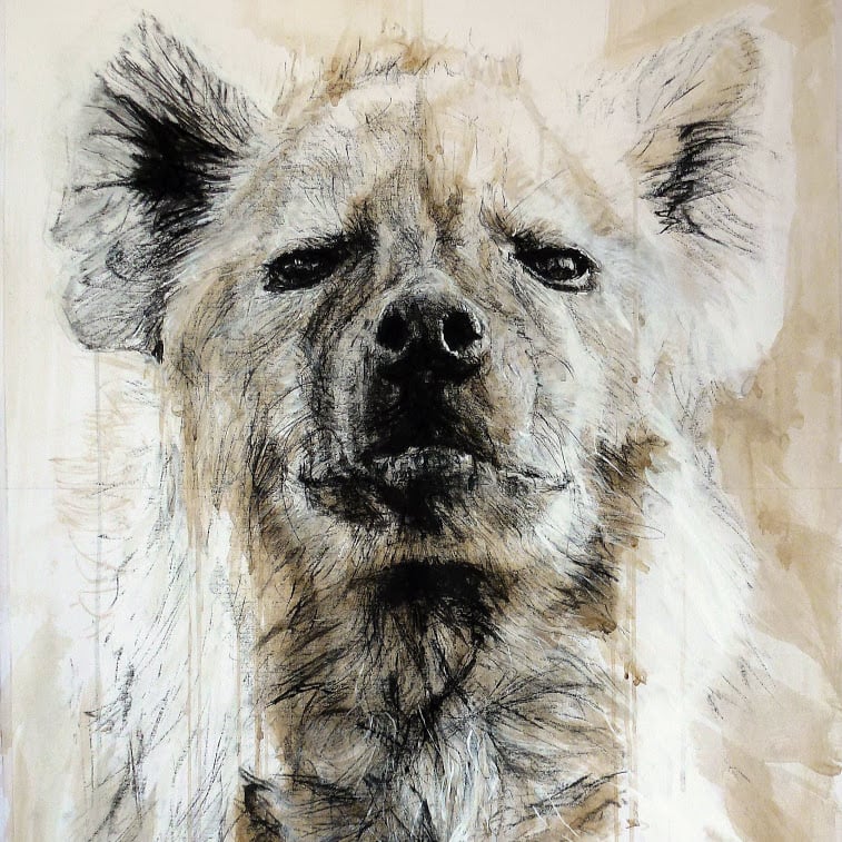 "Crocuta crocuta 48" - Oeuvre de Hyane