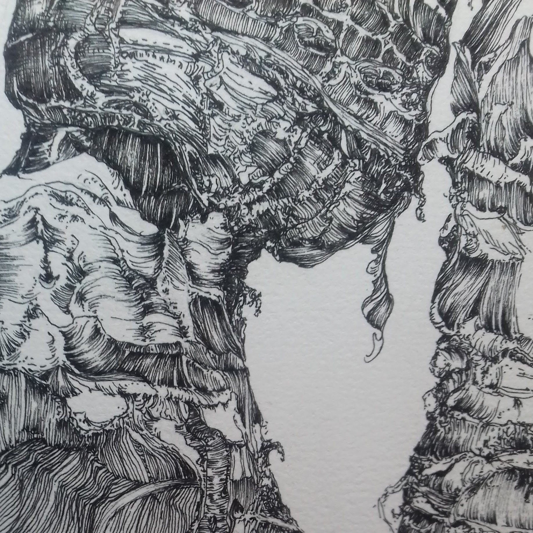 "Grande anatomie" - détail - encre - 50 x 70 - Oeuvre de Carole Nouet