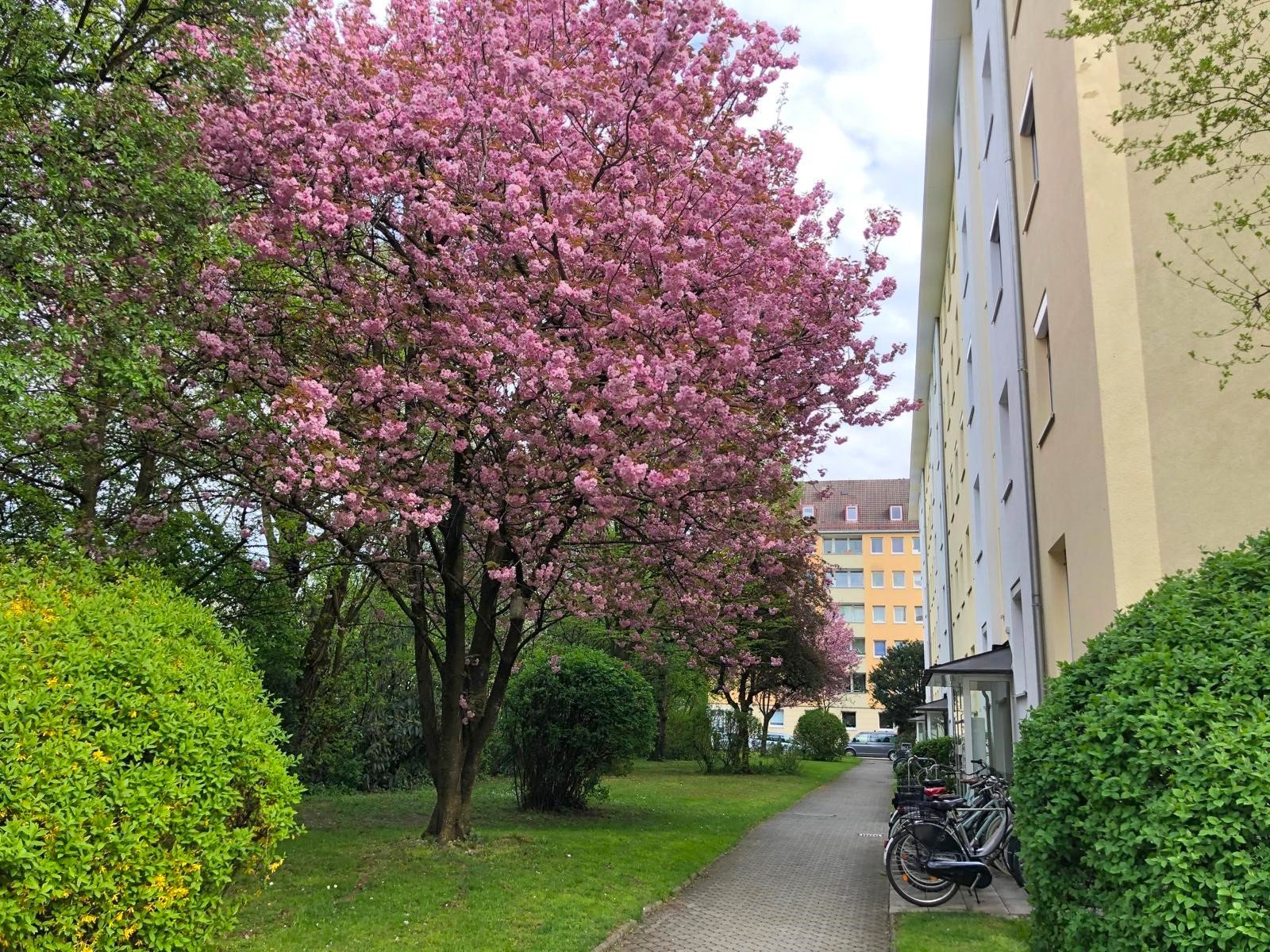 *reserviert* Zentral gelegene 2-Zimmer- Wohnung mit sehr gutem Schnitt in Neuhausen