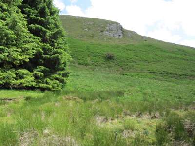 Finding the Good Earth