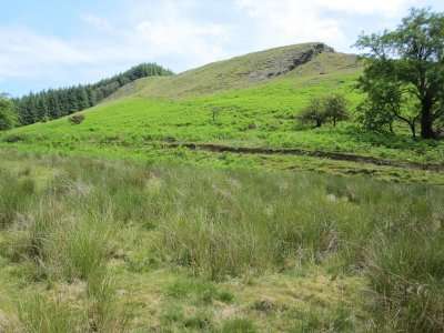 Finding the Good Earth