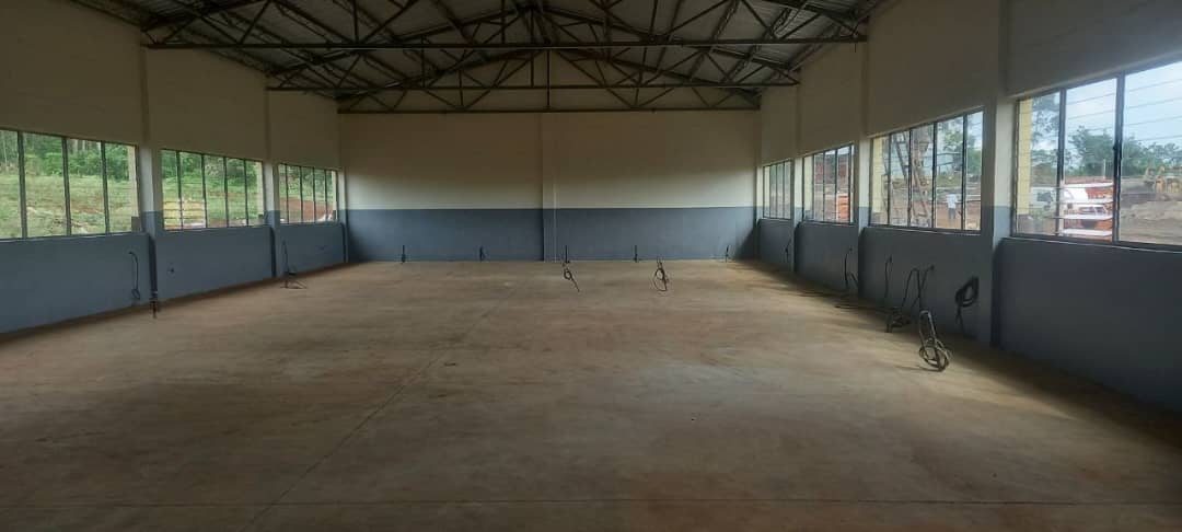 Gut Ding will Weile haben