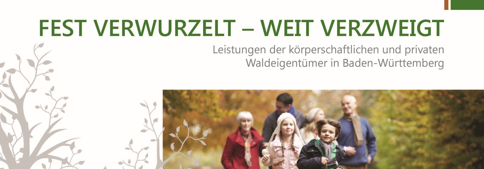 Die Broschüre der Forstkammer - hier herunterladen