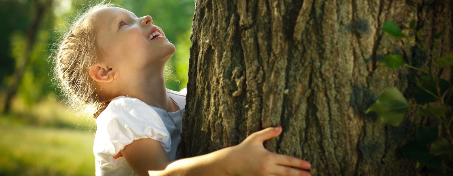 Unsere Leistungen - werden Sie Mitglied der Forstkammer!
