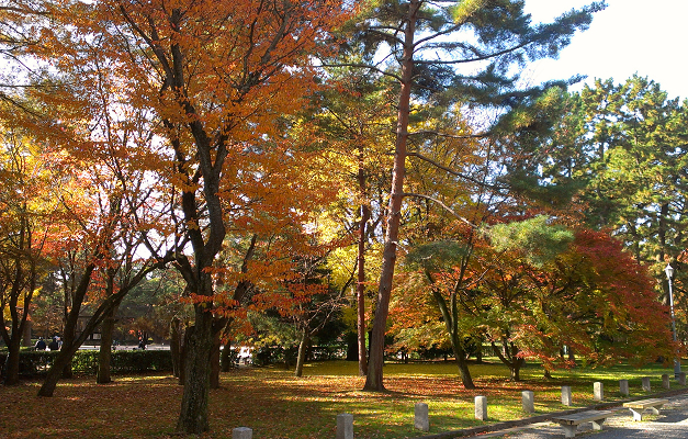 2013年11月の京都御苑の紅葉2