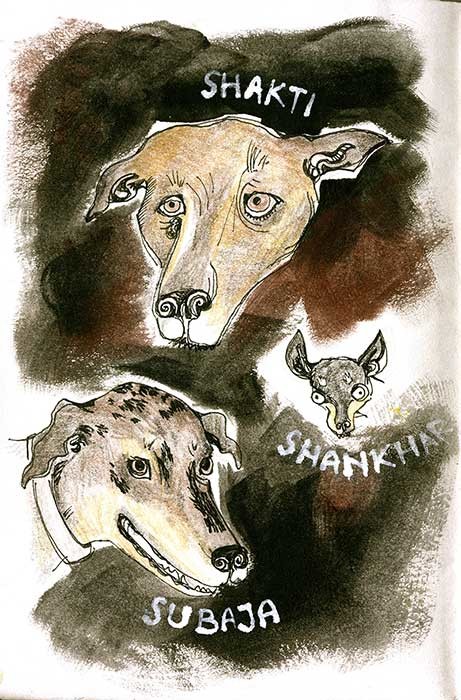 "The Dogs" (Hawaii), coloured pencils, fineliner & gouache, 2014