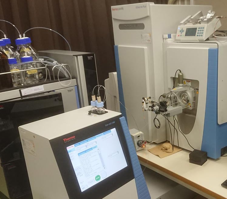 円山研究室へようこそ