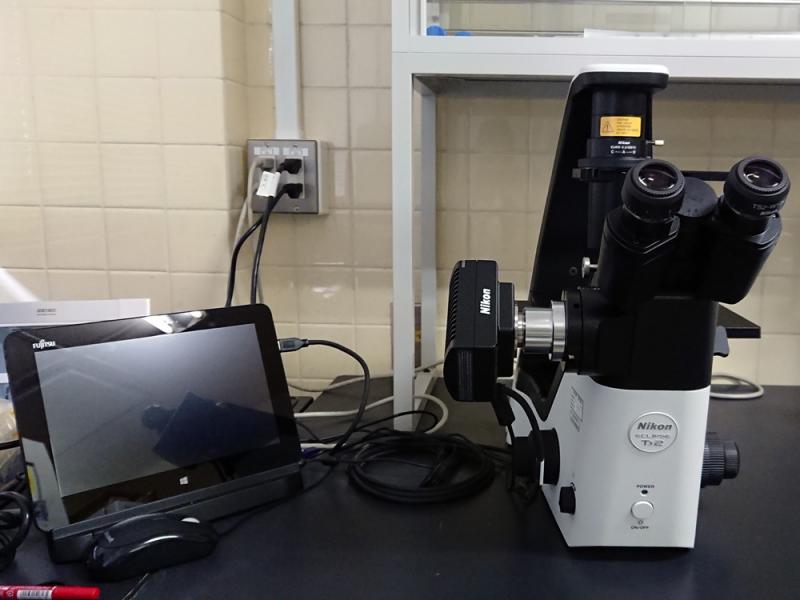 円山研究室へようこそ