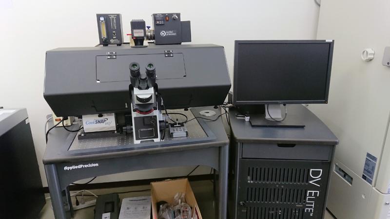 円山研究室へようこそ