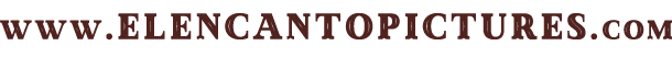sitio web www.elencantopictures.com gráfica