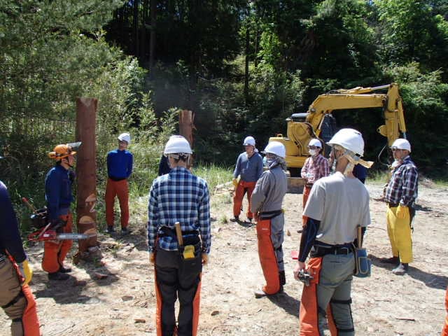 伐倒作業の実習です。受け口の作り方を学んでいます。