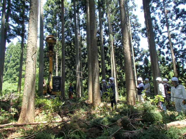 スイングヤーダによる集材作業の現地見学です。