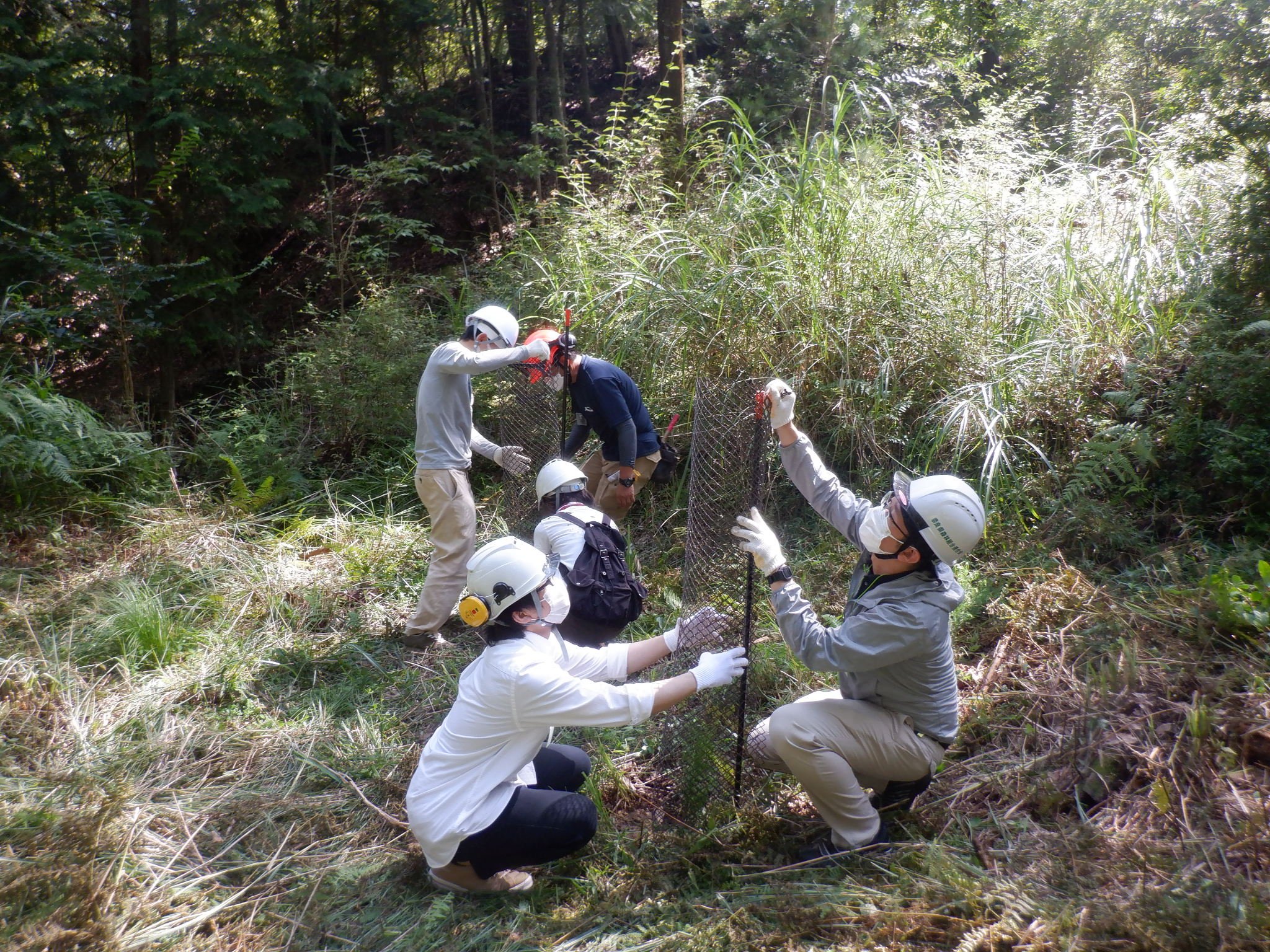 植林体験の模様です