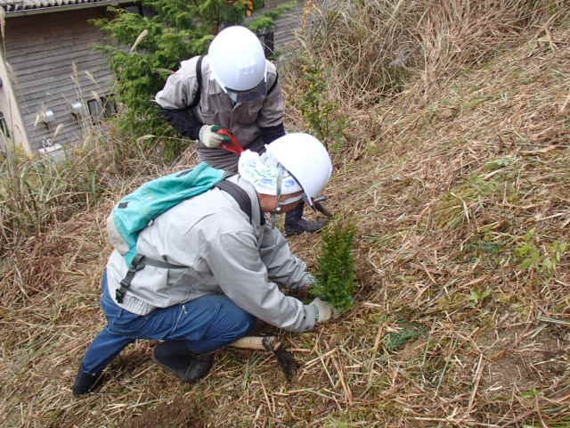 植栽実習の模様です。受講者の皆様に植えて頂きます。
