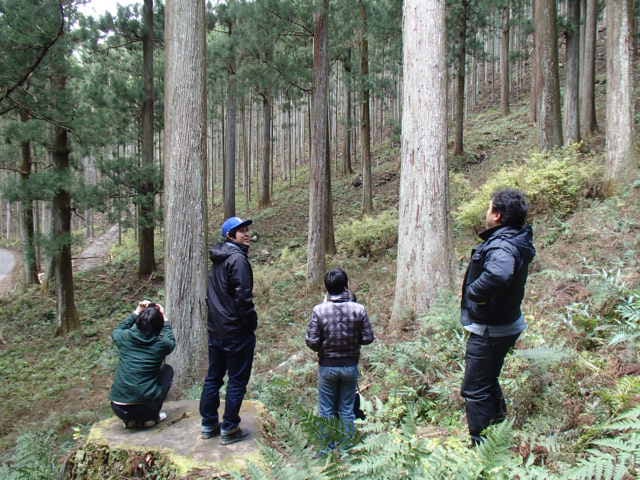 吉野林業地帯の高齢級の人工林の視察です。