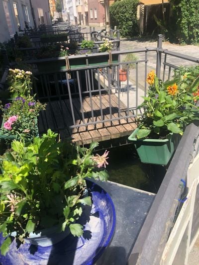 Stadtführungen in Augsburg: Lechkanäle