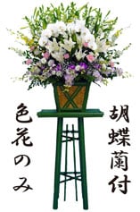 生花特大1本　27,500円(税込)