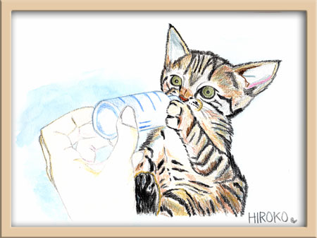 1992.12.4　サンケイスポーツ掲載