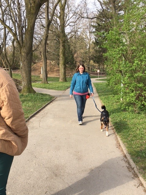 langsam ohne Ziehen zum Reiz - hier Isabella