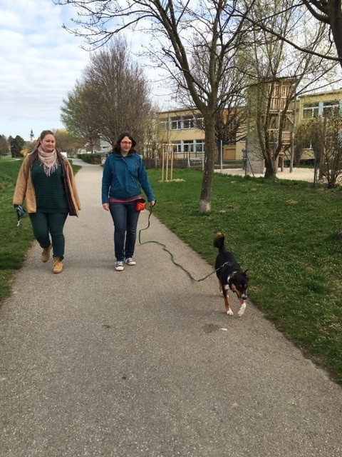 Kein Hecheln und Würgen mehr - Super Shula