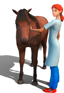 Artwork Meine tierischen Patienten & Ich 3D