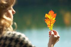 chill out and feel the wind and touch the leaves!