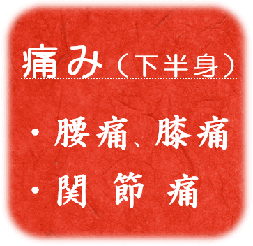  痛み  （下半身） 腰痛、膝痛、関節痛