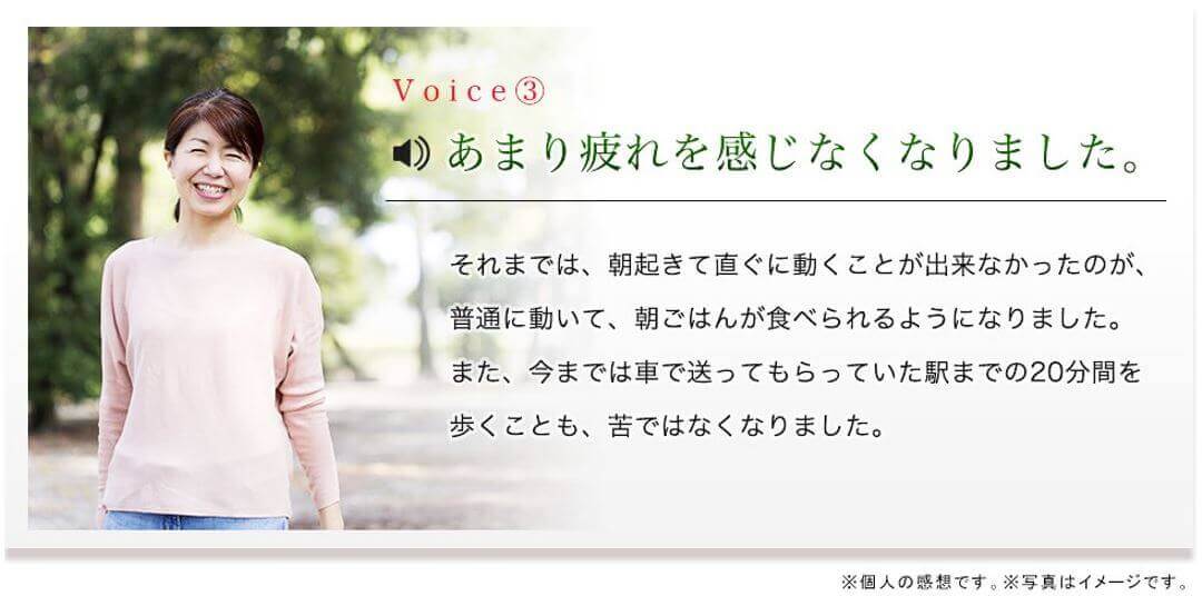 瓊玉膏　疲れも感じにくく