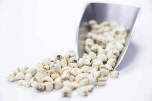 漢方煎じ薬原料　ヨクイニン