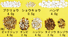 六君子湯 漢方煎じ薬